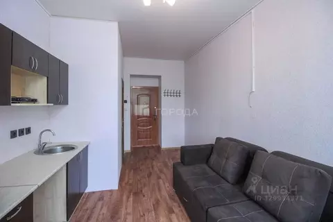 Комната Алтайский край, Барнаул ул. 40 лет Октября, 29А (16.5 м)