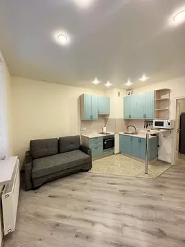 Студия Санкт-Петербург ул. Оптиков, 37 (21.9 м)