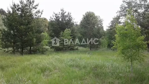 Участок в Пензенская область, Бессоновский район, пос. Подлесный ...