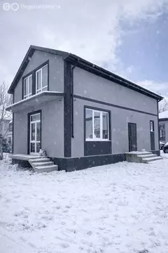 Дом в Пензенская область, село Бессоновка (110 м)