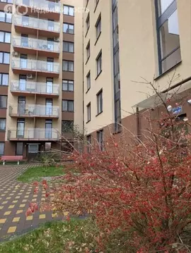 1-комнатная квартира: Светлогорск, Дачная улица, 6 (42.5 м)