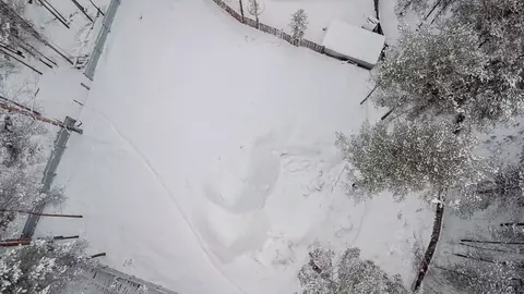 Участок в Свердловская область, Екатеринбург ул. Весенняя, 133А (12.0 ...