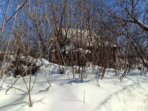 Участок в Нижегородская область, Воскресенский муниципальный округ, с. ...