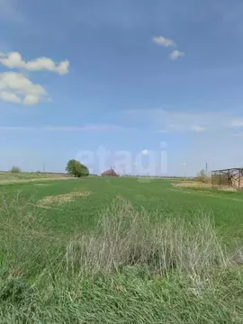 Участок в Ростовская область, Неклиновский район, Поляковское с/пос, ...