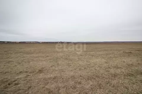 Участок в Калужская область, Дзержинский муниципальный округ, с. ...