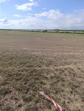 Участок в Волгоградская область, Городищенский район, Орловское с/пос, ...