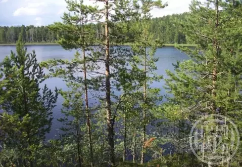 Участок в Карелия, Лахденпохский муниципальный округ, Куркиекское ...