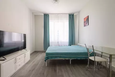Студия Санкт-Петербург Витебский просп., 99к1 (25.2 м)