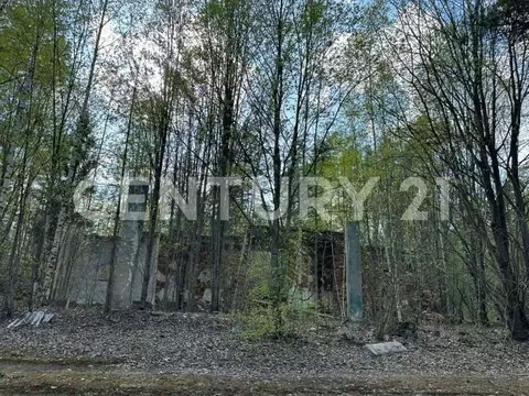 Участок в Ленинградская область, Выборгский район, Каменногорское ...