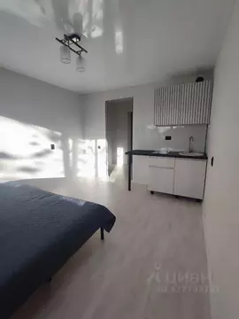 Студия Самарская область, Самара Юбилейная ул., 34 (17.6 м)