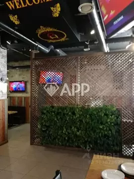 Помещение свободного назначения в Краснодарский край, Новороссийск ...