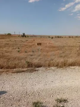 Участок в Крым, Сакский район, с. Митяево ул. Южная (10.0 сот.)