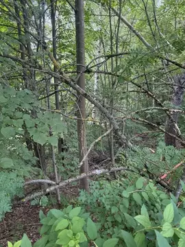 Участок в Московская область, Одинцовский городской округ, д. ...