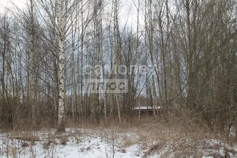 Участок в Ярославская область, Переславль-Залесский муниципальный ...