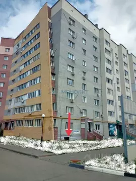 Помещение свободного назначения в Нижегородская область, Кстово просп. ...