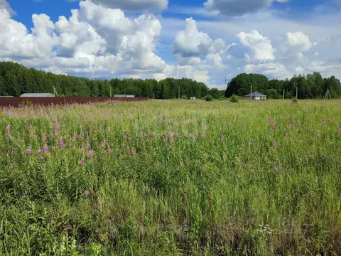 Участок в Тюменская область, Тюменский муниципальный округ, с. Кулига, ...