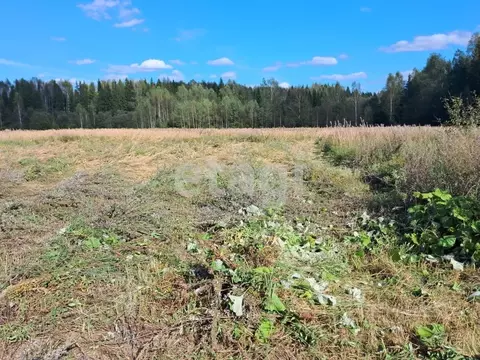 Участок в Костромская область, Костромской район, Кузьмищенское с/пос, ...