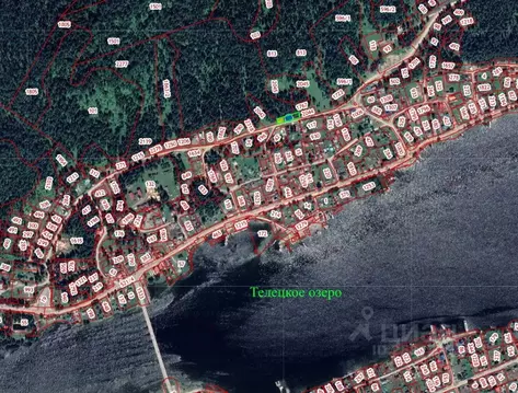 Участок в Алтай, Турочакский район, с. Артыбаш Подгорная ул. (10.0 ...