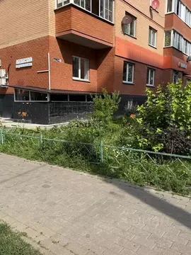 Помещение свободного назначения в Московская область, Королев ...