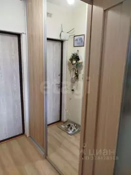 Студия Ленинградская область, Мурино Всеволожский район, ул. Шувалова, ...