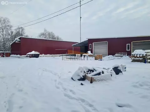 Производственное помещение (1047 м)