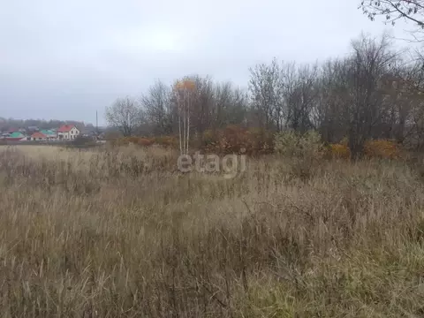 Участок в Брянская область, Выгоничский район, Кокинское с/пос, д. ...