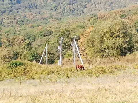 Участок в Адыгея, Майкопский район, Даховская ст-ца Советская ул. ...