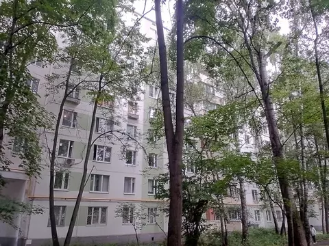 Свободной планировки кв. Москва ш. Энтузиастов, 94К2 (43.8 м)