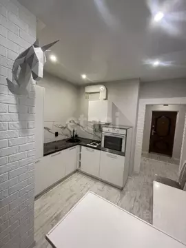 1-к кв. Ставропольский край, Ставрополь ул. Тухачевского, 30/1 (30.1 ...