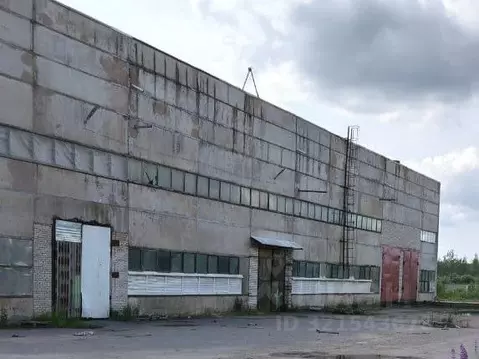 Склад в Ленинградская область, Кириши Волховское ш., 11 (4495 м)