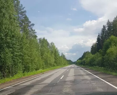 Дом в Ленинградская область, Гатчинский муниципальный округ, Чаща ...