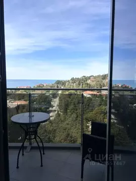 2-к кв. Краснодарский край, Сочи Курортный просп., 108 (83.5 м)