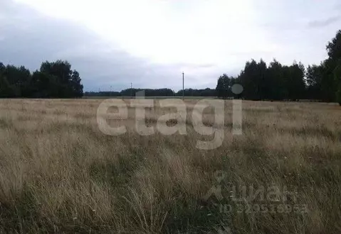 Участок в Челябинская область, Аргаяшский муниципальный округ, ...