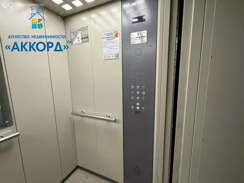 1-комнатная квартира: Барнаул, улица Гущина, 161А (32.8 м)