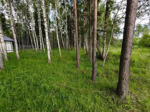 Участок в Московская область, Талдомский городской округ, Запрудня пгт ...