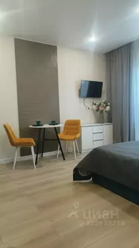 Студия Ленинградская область, Ломоносовский район, Аннинское городское ...