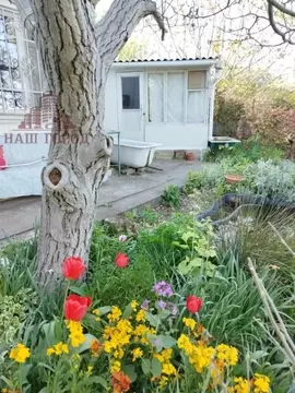 Дом в Крым, Феодосия Геолог СПК,  (31 м)