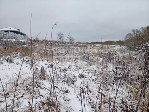 Участок в Москва д. Давыдово, 95Г (8.0 сот.)