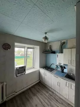 2-к кв. Башкортостан, с. Чишмы ул. Подгорная (42.0 м)