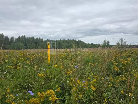 Участок в Владимирская область, Ковровский район, Малыгинское с/пос, ...