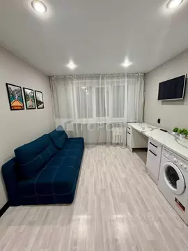 Студия Новосибирская область, Новосибирск ул. Никитина, 143 (15.0 м)