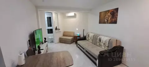 1-к кв. Севастополь ул. Челнокова, 19Ак1 (25.0 м)