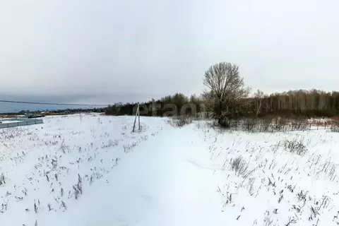 Участок в Тюменская область, Тюменский муниципальный округ, с. Борки  ...