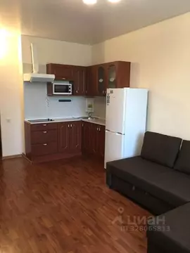 Студия Санкт-Петербург ул. Орджоникидзе, 59к2 (28.2 м)