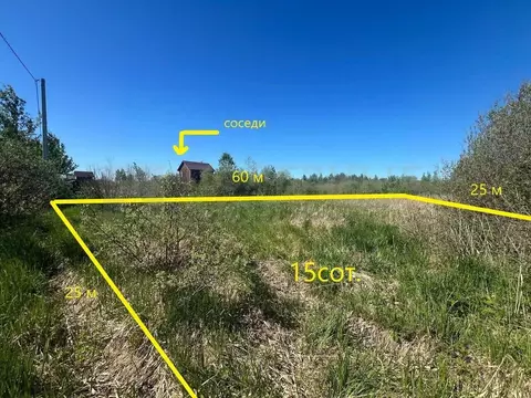 Участок в Новгородская область, Новгородский район, Борковское с/пос, ...