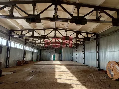 Помещение свободного назначения в Омская область, Омск ул. 10 лет ...