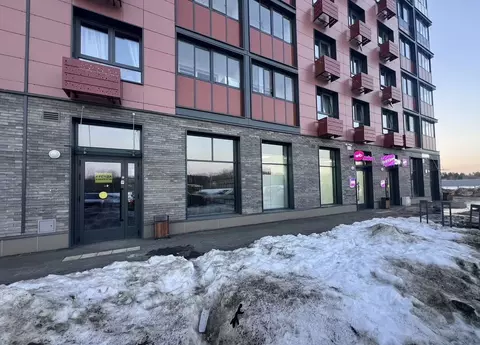 Помещение свободного назначения в Московская область, Пушкино ул. ...
