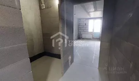 Студия Санкт-Петербург, Санкт-Петербург, Ломоносов Михайловская ул., ...