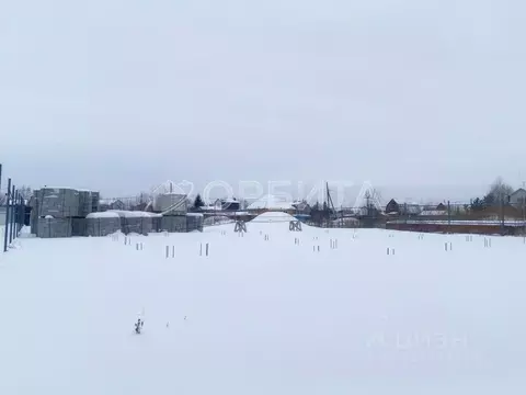 Участок в Тюменская область, Тюмень СОСН Сирень тер., ул. Виноградная ...