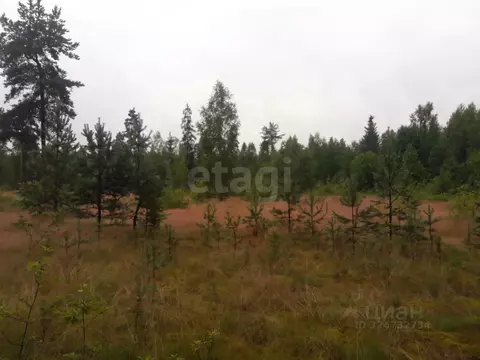 Участок в Вологодская область, Устюженский район, д. Кротынь  (26.71 ...